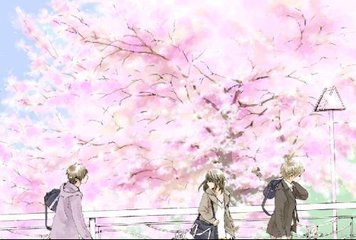 含羞草实验所隐藏路线